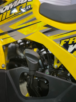 Квадроцикл PROMAX WILD 2.0 190 PRO (2025)