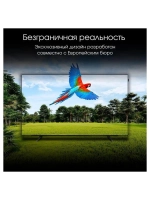 Телевизор OLED Digma Pro 65" OLED 65M Google TV Frameless черный/серебристый 4K Ultra HD 120Hz DVB-T DVB-T2 DVB-C DVB-S DVB-S2 USB WiFi Smart TV