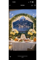 Лиана Эвкалипт папоротник