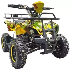 Электроквадроцикл GreenCamel Гоби К21 (36V 800W R6 Цепной привод)