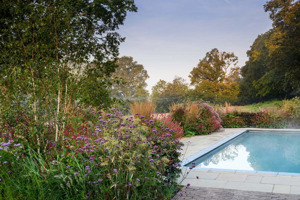 The Gardener`s Palette: Creating Colour Harmony in the Garden