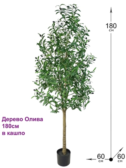 Искусственное Оливковое дерево 180см в кашпо