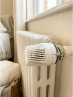 Терморегулятор для батареи отопления ZEISSLER