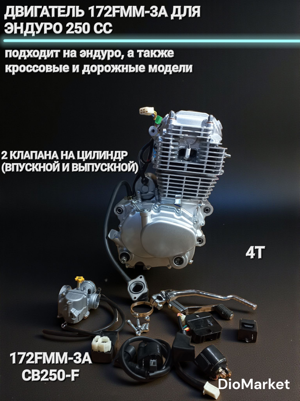 Двигатель для эндуро 250 кубов 172FMM-3A 2х-клапанный, грм цепь