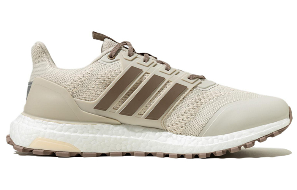 Кроссовки Adidas Ultraboost Dna Guard