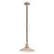 Подвесной светильник Lussole Loft Chicago LSP-8742