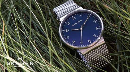 Мужские часы Skagen SKW6164