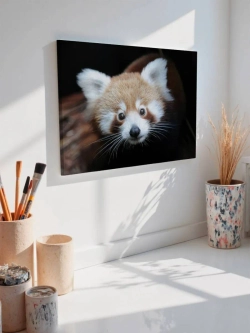 Картина на стену 40 X 50 Енот
