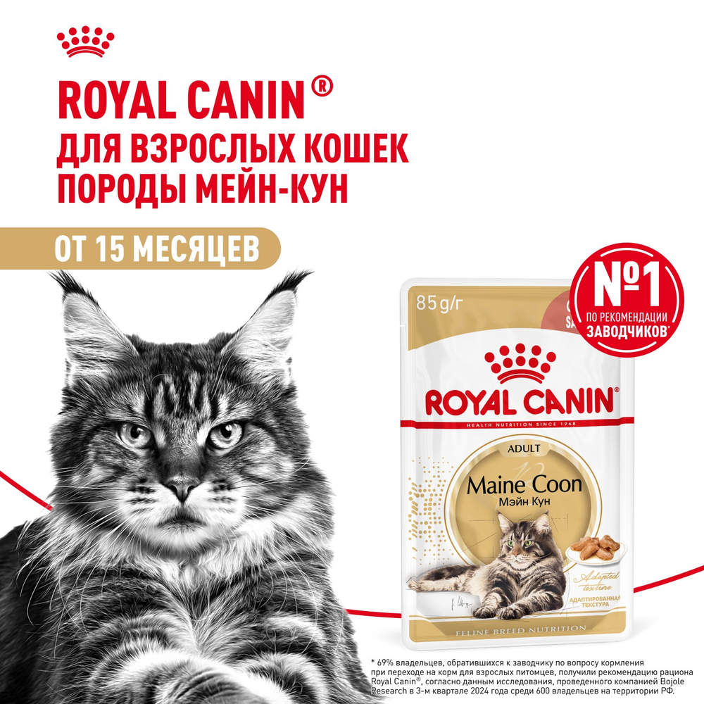 Royal Canin Maine Coon Adult Мейн Кун Эдалт Корм влажный для взрослых кошек породы Мэйн Кун соус 85г