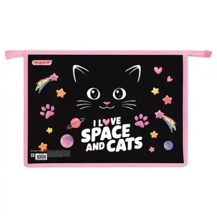 Папка для тетрадей 1 отделение А4 на молнии Пифагор Dark kitten, пластик