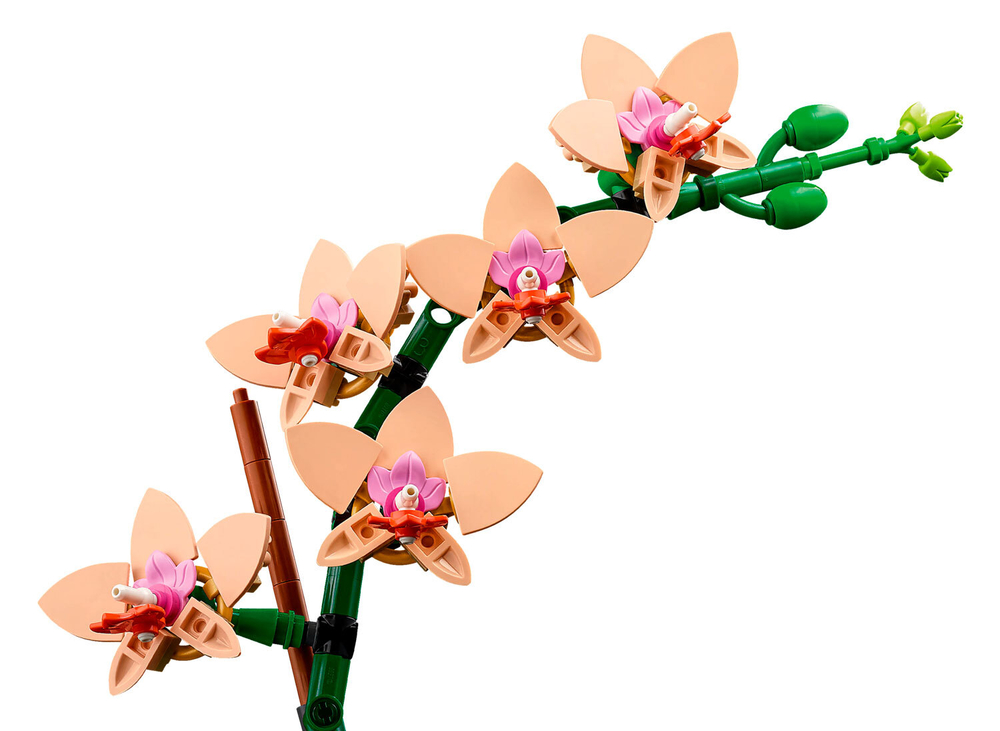 LEGO Botanical Collection 10343 Мини-орхидея — декоративный конструктор для взрослых