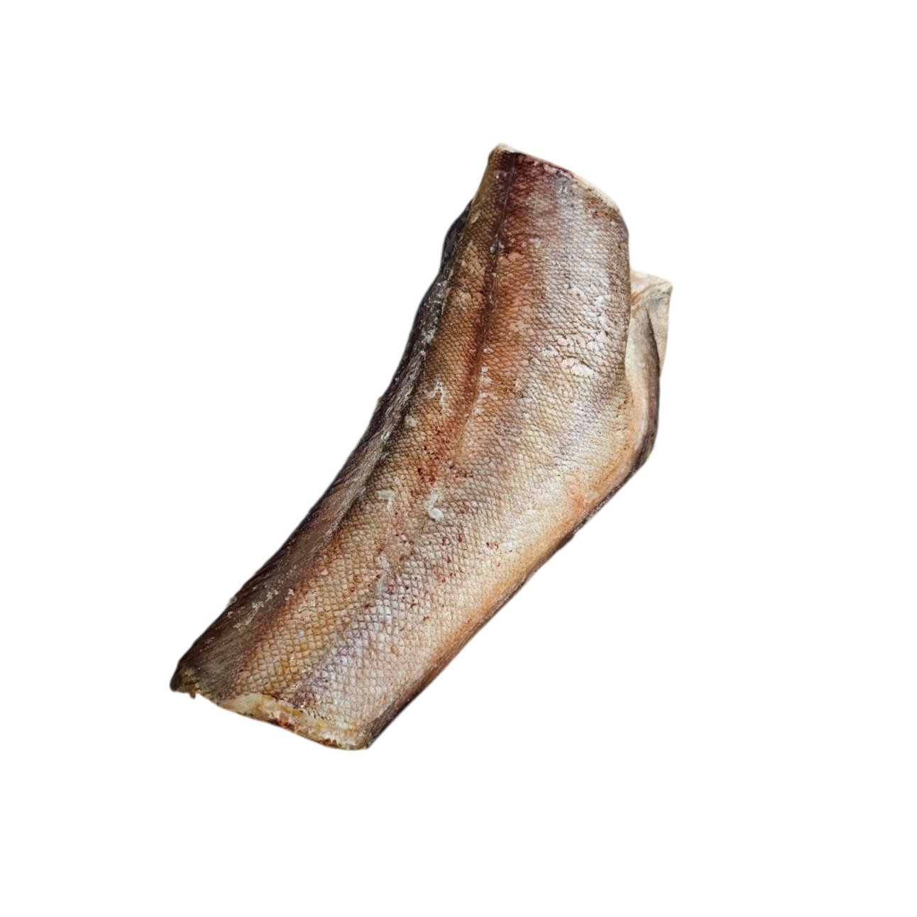 Бротола с/м