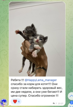 Когтеточки, игрушки, наполнители
