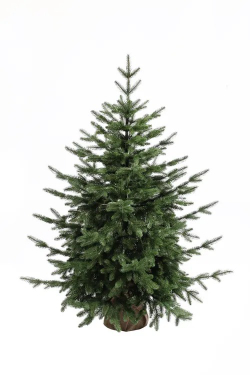 Ель искусственная Раскидистая Премиум 100 см