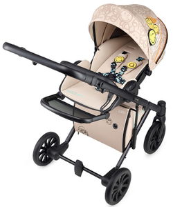 Детская коляска Anex e/type 2 в 1 joy