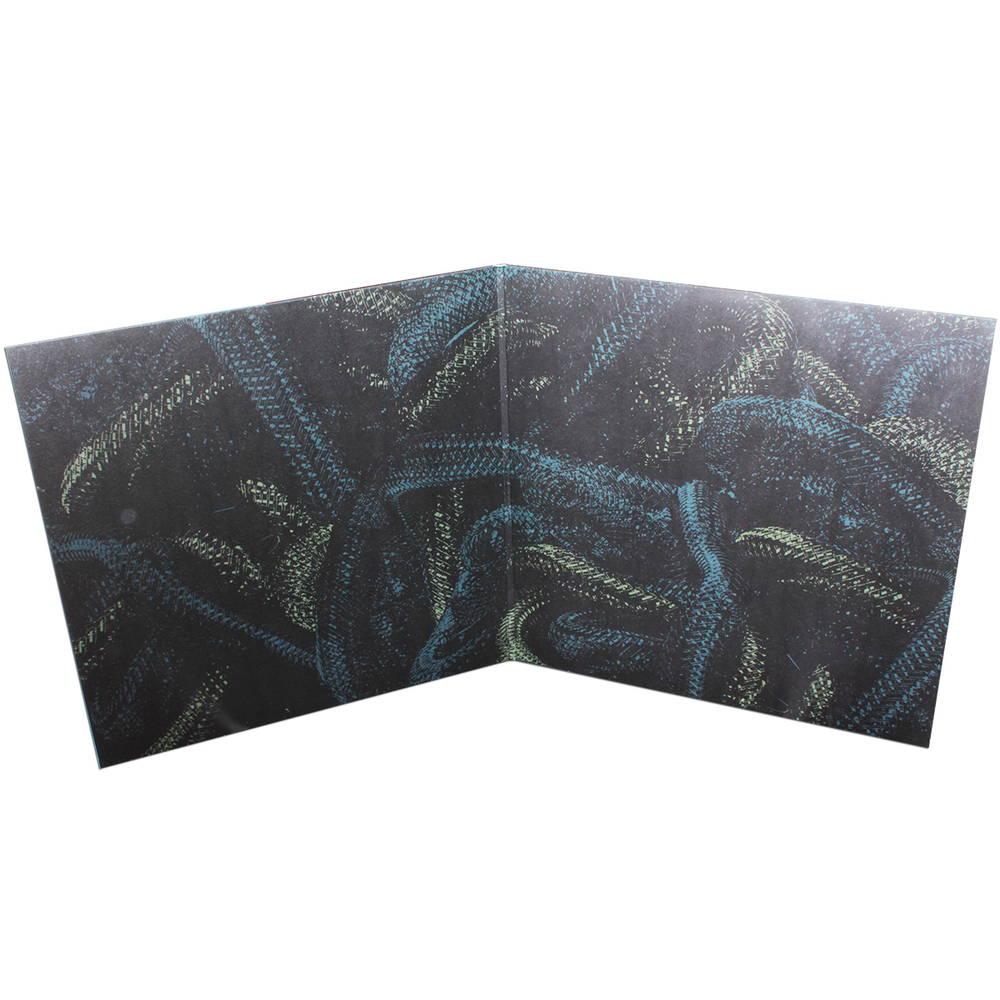 Paradise Lost / Medusa (Picture Disc)(LP)