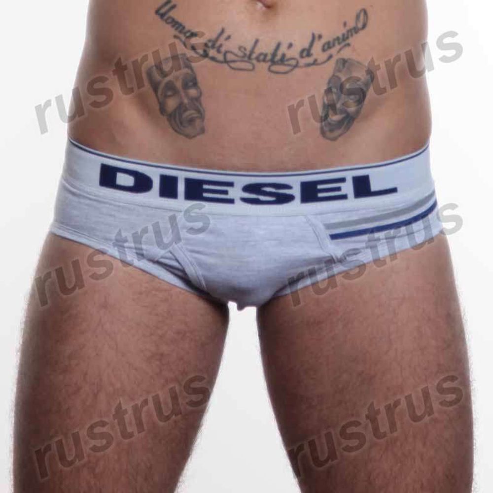 Мужские трусы брифы серые DIESEL DIS0092