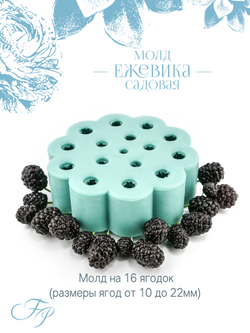 Молд Ежевика садовая