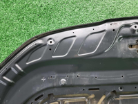 Капот Kia K5 (2019-2023)