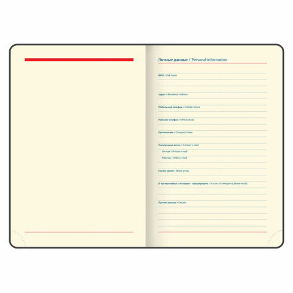 Ежедневник датированный 2025 А5 148х218 мм GALANT "Magnetic", под кожу, клапан, черный, 115708