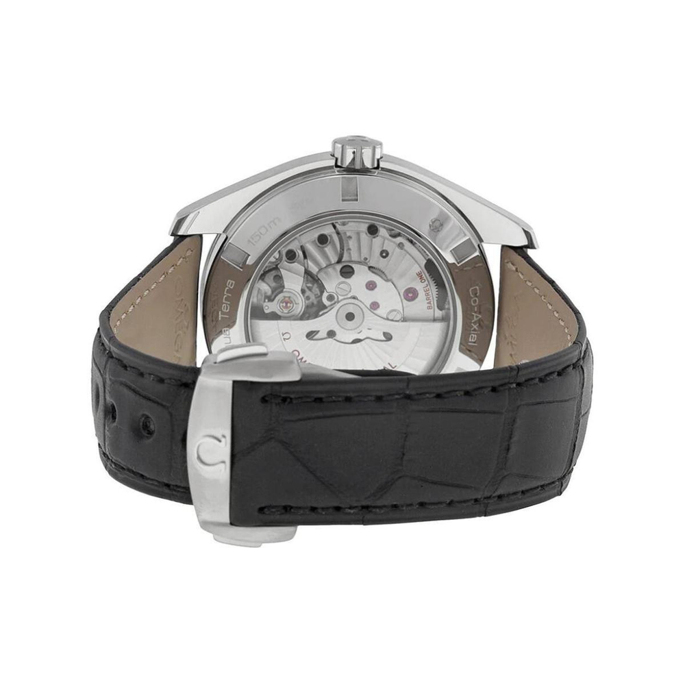 Часы OMEGA AQUA TERRA 150 43mm, 231.13.43.22.01.001