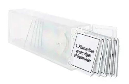 Набор микропрепаратов Levenhuk Discovery Prof DPS 5. «Биология»