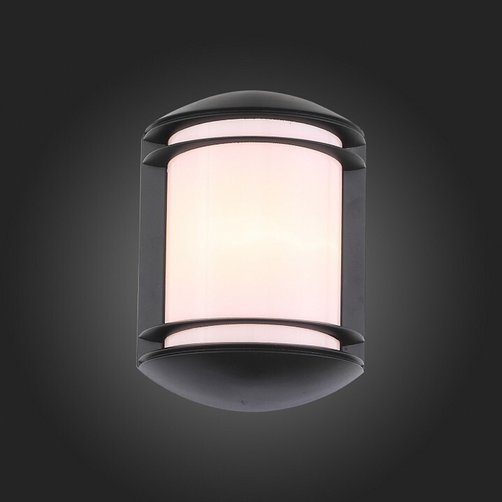 Накладной светильник ST-Luce Agio SL076.401.01