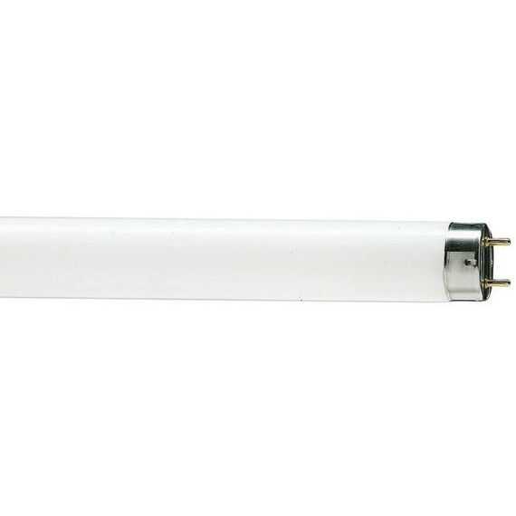 Лампа люминесцентная Osram L 18W/765 T8 18W 6500K G13 14542