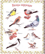 Чудеса без конца. Любовь Кантаржи + диск "Семья - малая церковь"