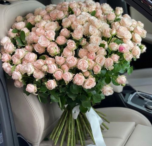 Волшебный сад