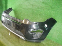 DSCN8741.jpg
