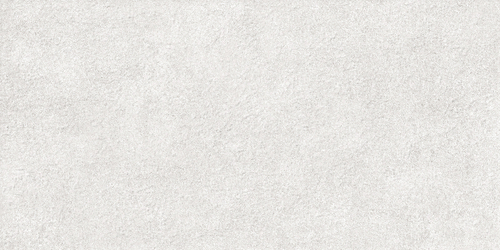 TWU2550DCV04 плитка облицовочная рельефная Discover 249*500