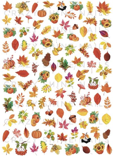 Слайдер-дизайн Crazy Shine Nails: Осень