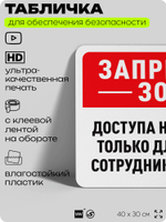 Табличка для обеспечения безопасности "Запретная зона, доступа нет", для офиса, по охране труда для предприятия, организаций, 40х30 см, Silver Plane x Айдентика Технолоджи