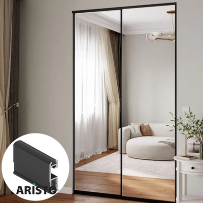 Дверь-купе ARISTO SLIM FINE, зеркало, профиль черный матовый