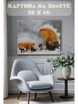 Картина на стену 40 X 50 Грибы
