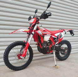 Мотоцикл эндуро Regulmoto Holeshot 300 Red Edition (4 valves) 21/18 ПТС