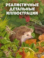 Удивительные энциклопедии. Секреты осеннего леса. Визуальная энциклопедия