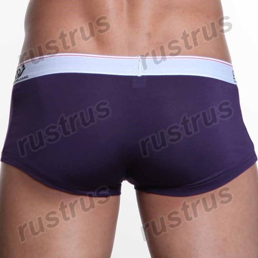 Мужские трусы хипсы фиолетовые WANGJIANG WG00004