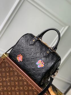 Louis Vuitton Speedy 25