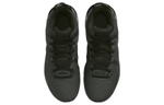 Кроссовки Nike Lebron Witness 7