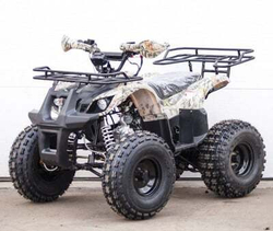 Квадроцикл STALKER 125 FOX