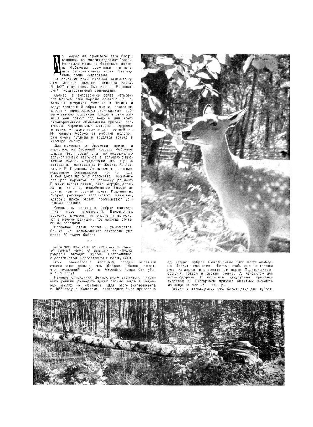 Журнал "Вокруг Света". №12, декабрь 1963 | коллектив авторов