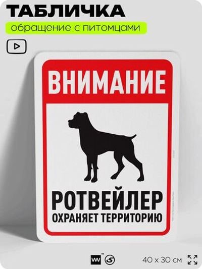 Табличка "Внимание, ротвейлер охраняет территорию" на дверь и забор, для двора, дома, подъезда, 40х30 см, Silver Plane x Айдентика Технолоджи