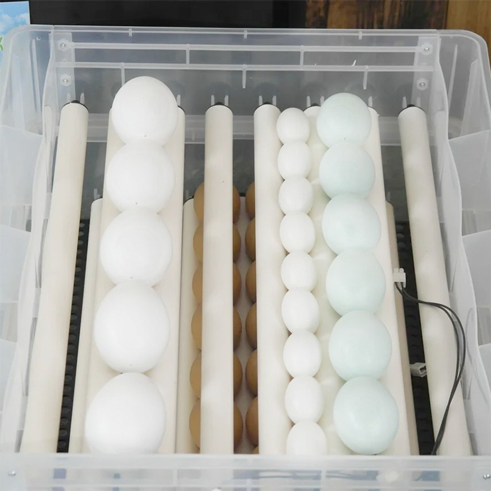 Инкубатор автоматический "SITITEK 128"