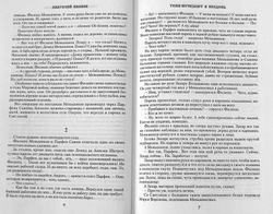 teni-ischezayut-v-polden-roman-107430-521332