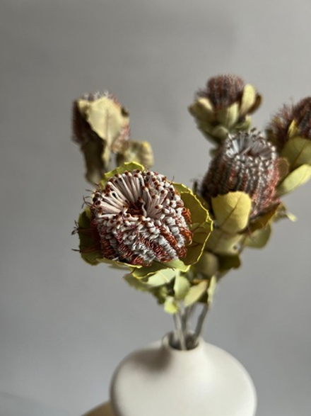 Банксия мини