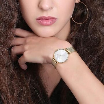 Наручные часы Skagen SKW2150