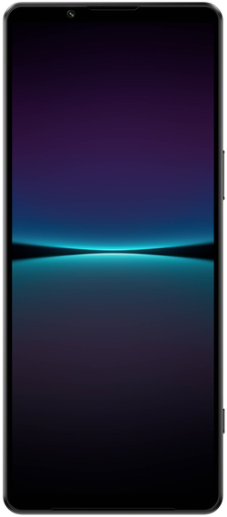 Sony Xperia 1 IV (XQ-CT72) 12/512Gb Black