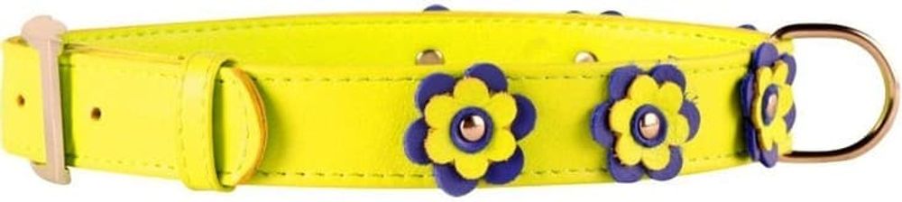 Ошейник "CoLLaR Glamour" с украшением аппликация  (ширина 9мм, длина 18-21см) желтый